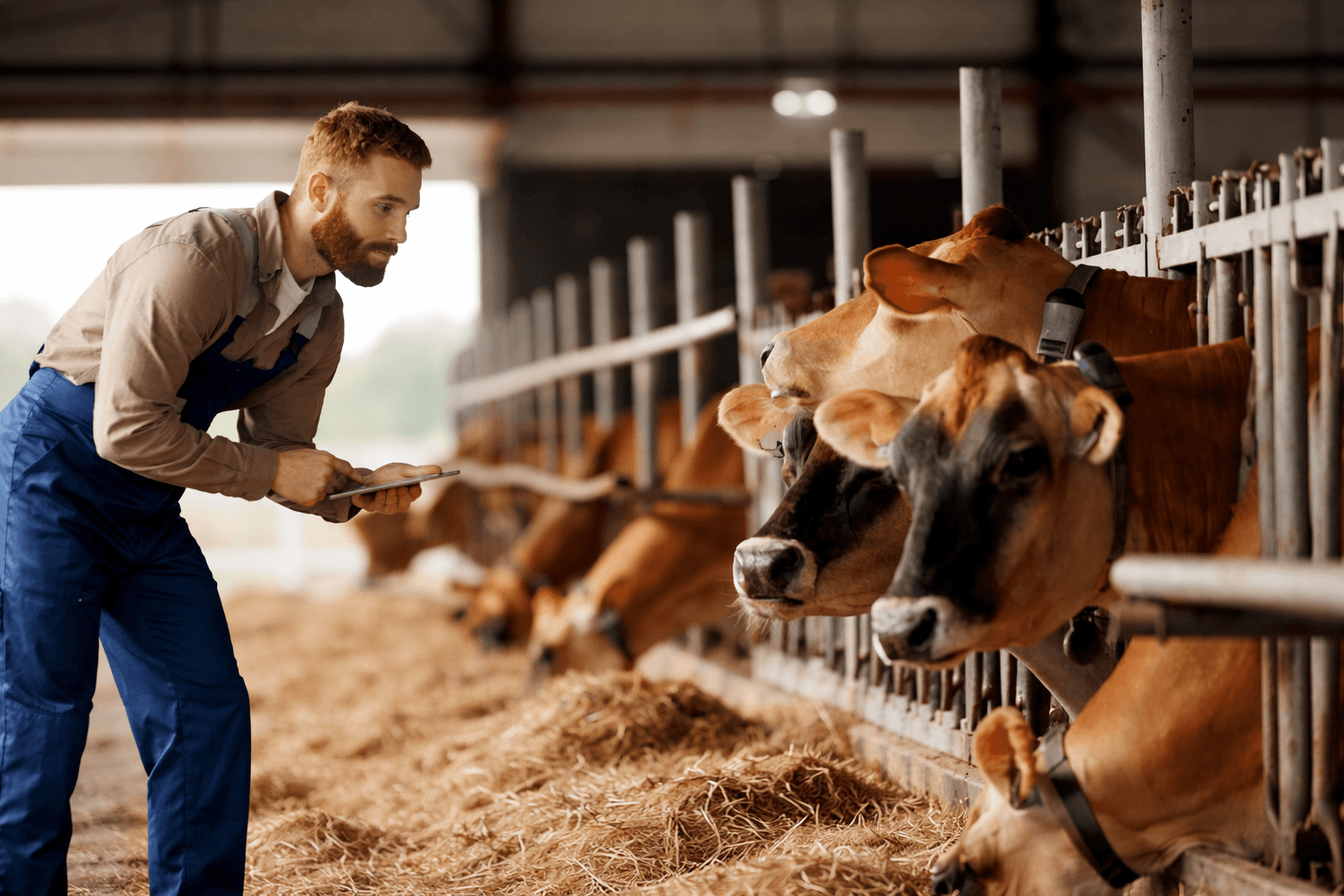 Real-time farm monitoring and livestock tracking